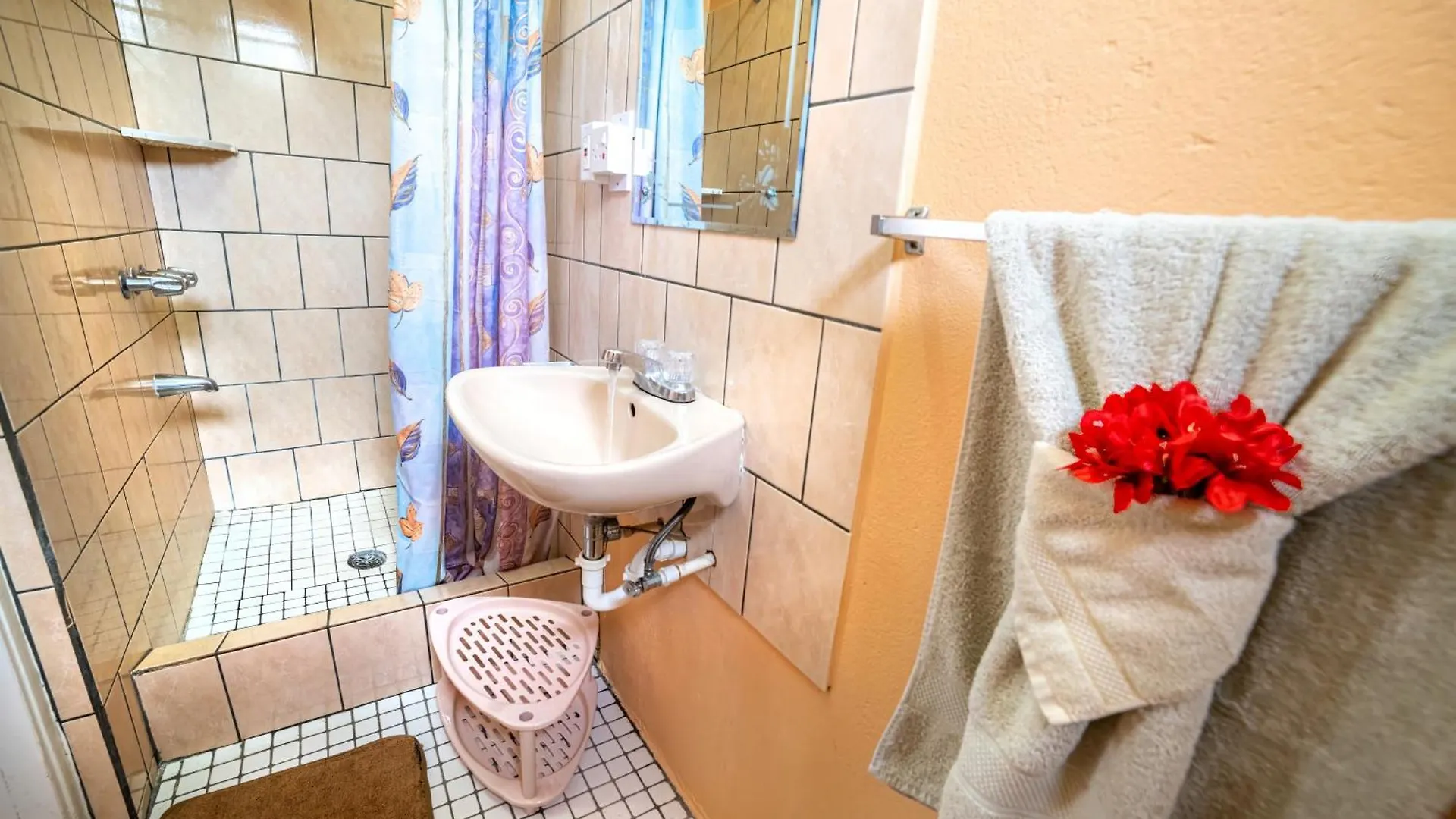 بيت ضيافة Safari Apartments بورتسموث