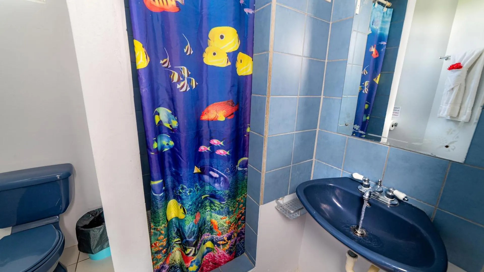 Safari Apartments بورتسموث
